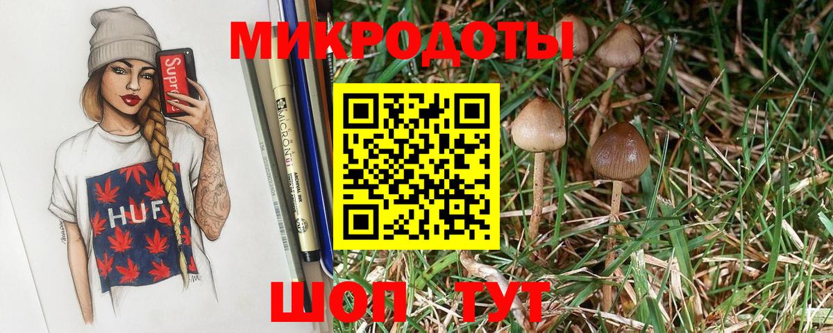 Каменск-Уральский  Псилоцибиновые грибы Cubensis  Вход с VPN 